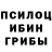 Псилоцибиновые грибы Magic Shrooms Lalchhuanawma Renthlei