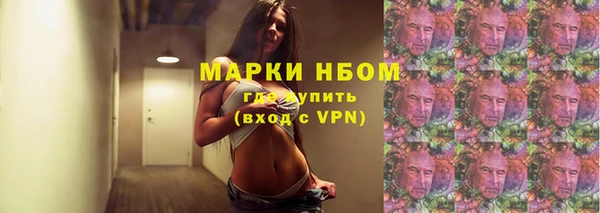 амф Зеленокумск