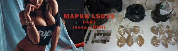 амф Зерноград