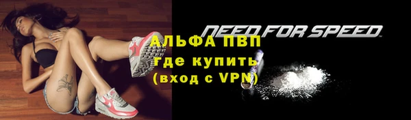 амф Зеленокумск