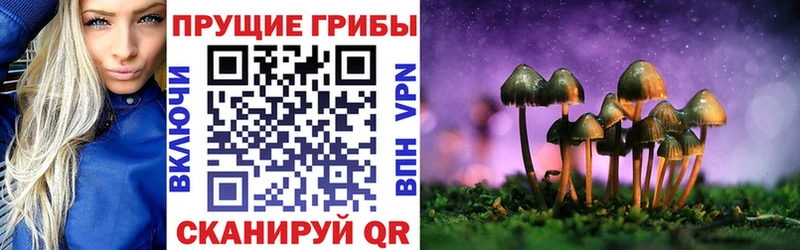 Галлюциногенные грибы GOLDEN TEACHER  купить наркотик  Касимов 