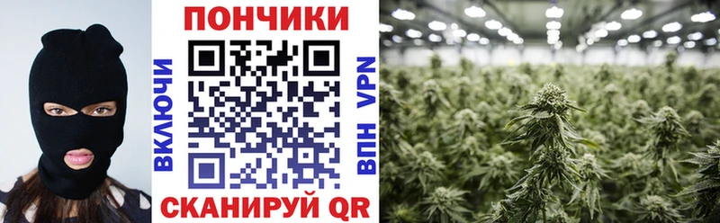 hydra сайт  Касимов  Каннабис SATIVA & INDICA  где можно купить  