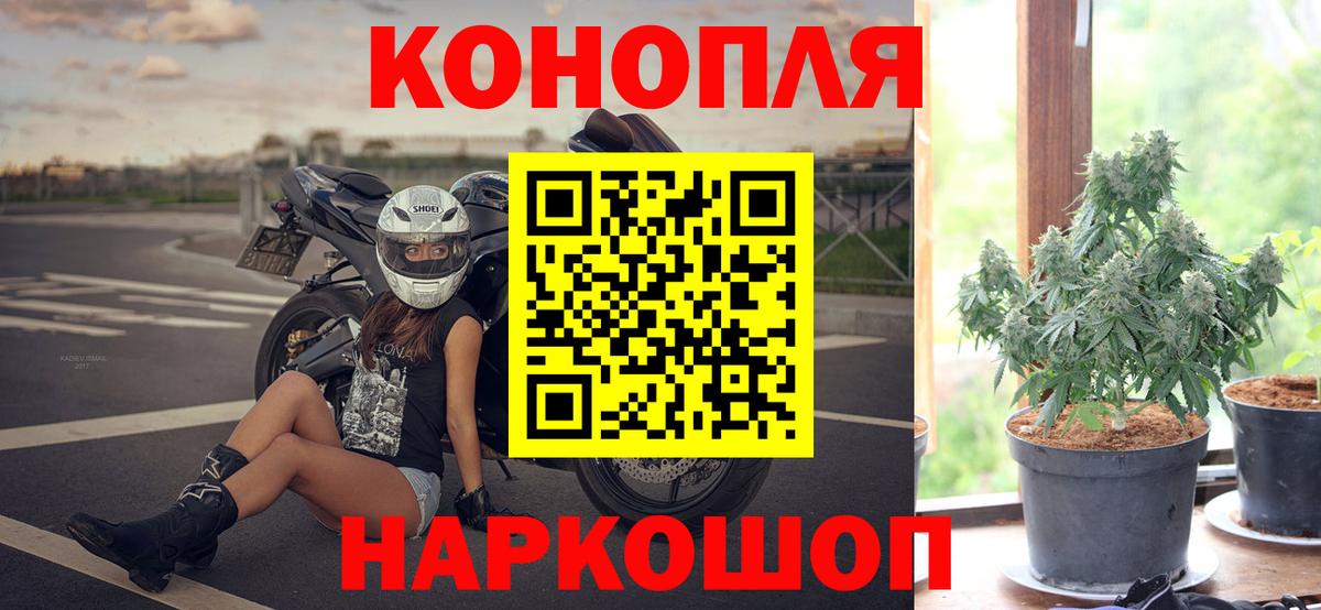 Касимов  МАРИХУАНА марихуана  Вход с VPN  МАРИХУАНА тримм 